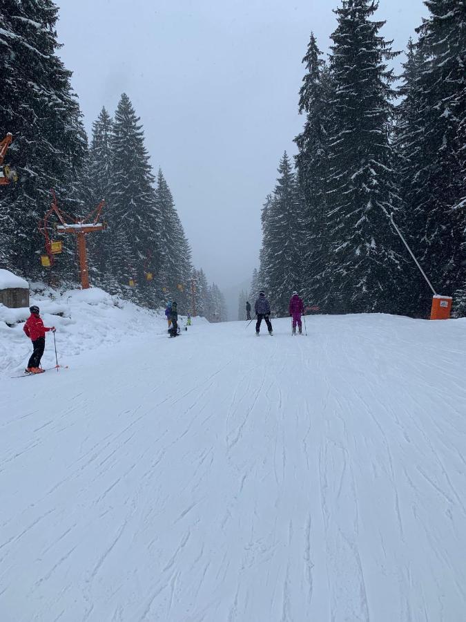 Skiing, Walking, Enjoying In Mountains Banszko Kültér fotó
